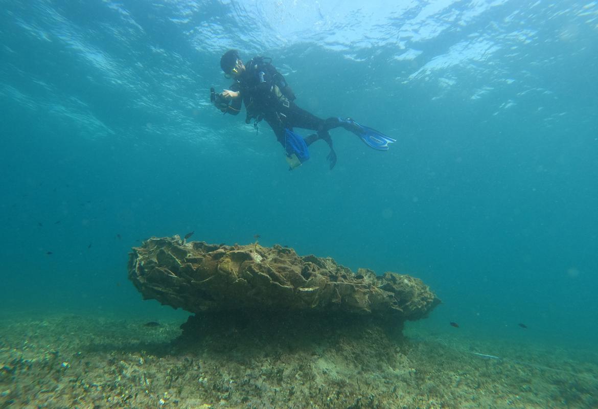 Sott'acqua a Porto Cesareo la storia del Mediterraneo