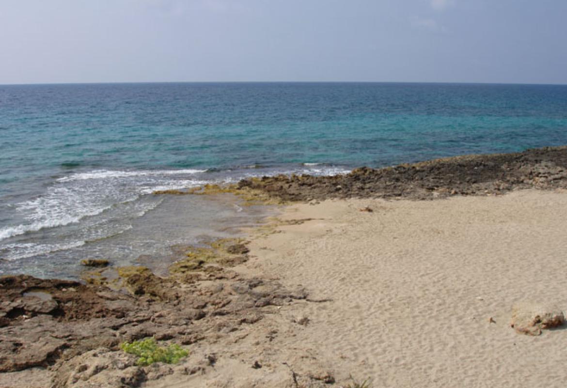 Trovato uno scheletro umano fra le dune di Gallipoli