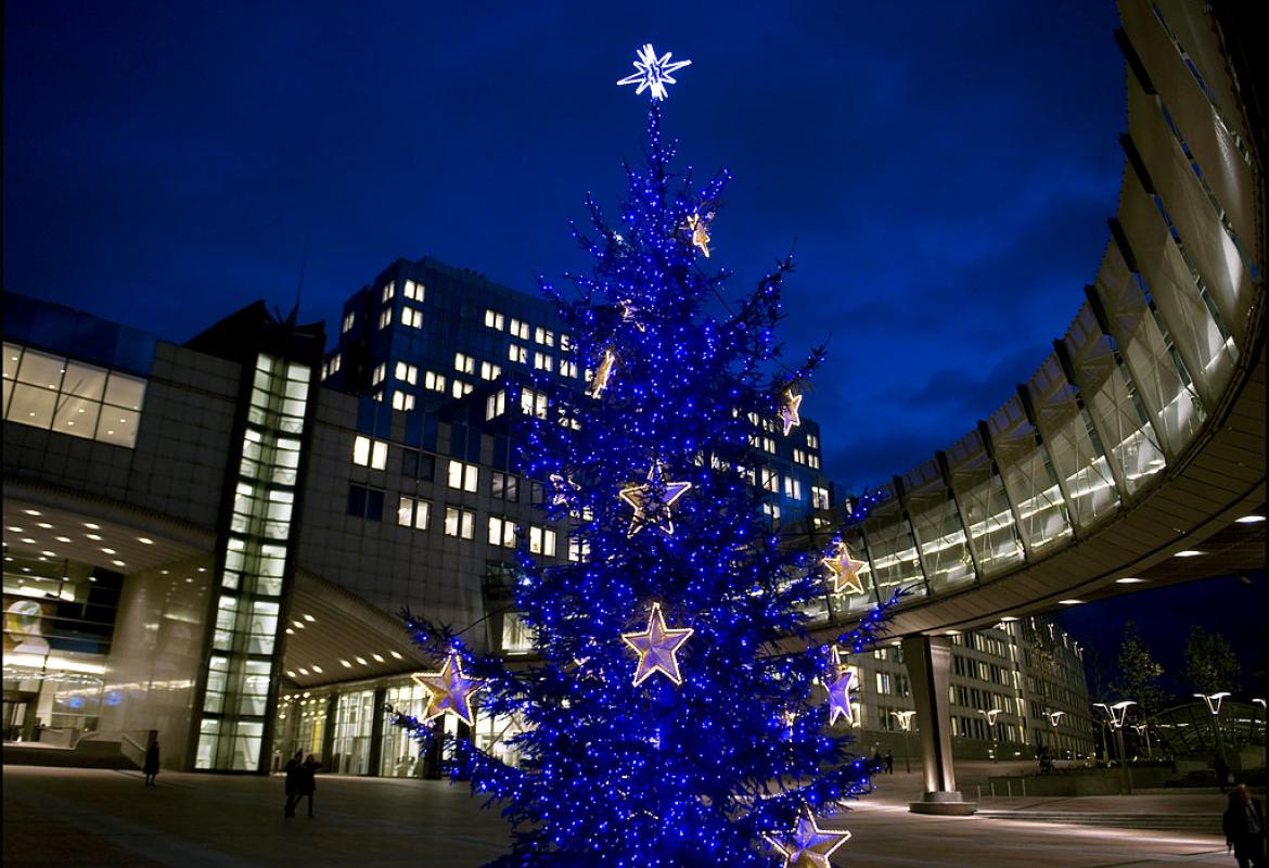 L'albero di Natale? Lo facciamo in Europa. La scuola primaria 'Lecciso' di Galatina fra le prescelte