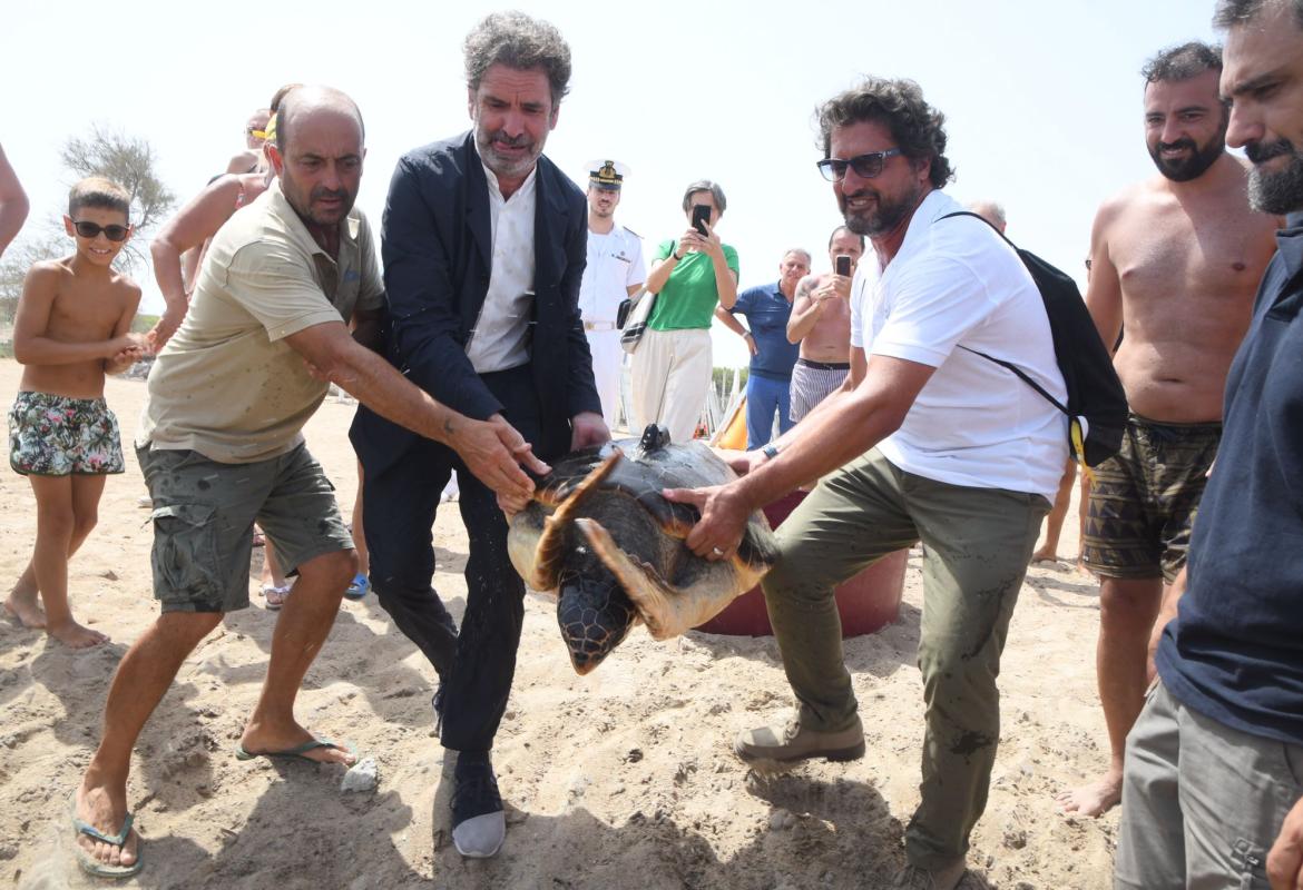 Liberate a Frigole due Caretta caretta