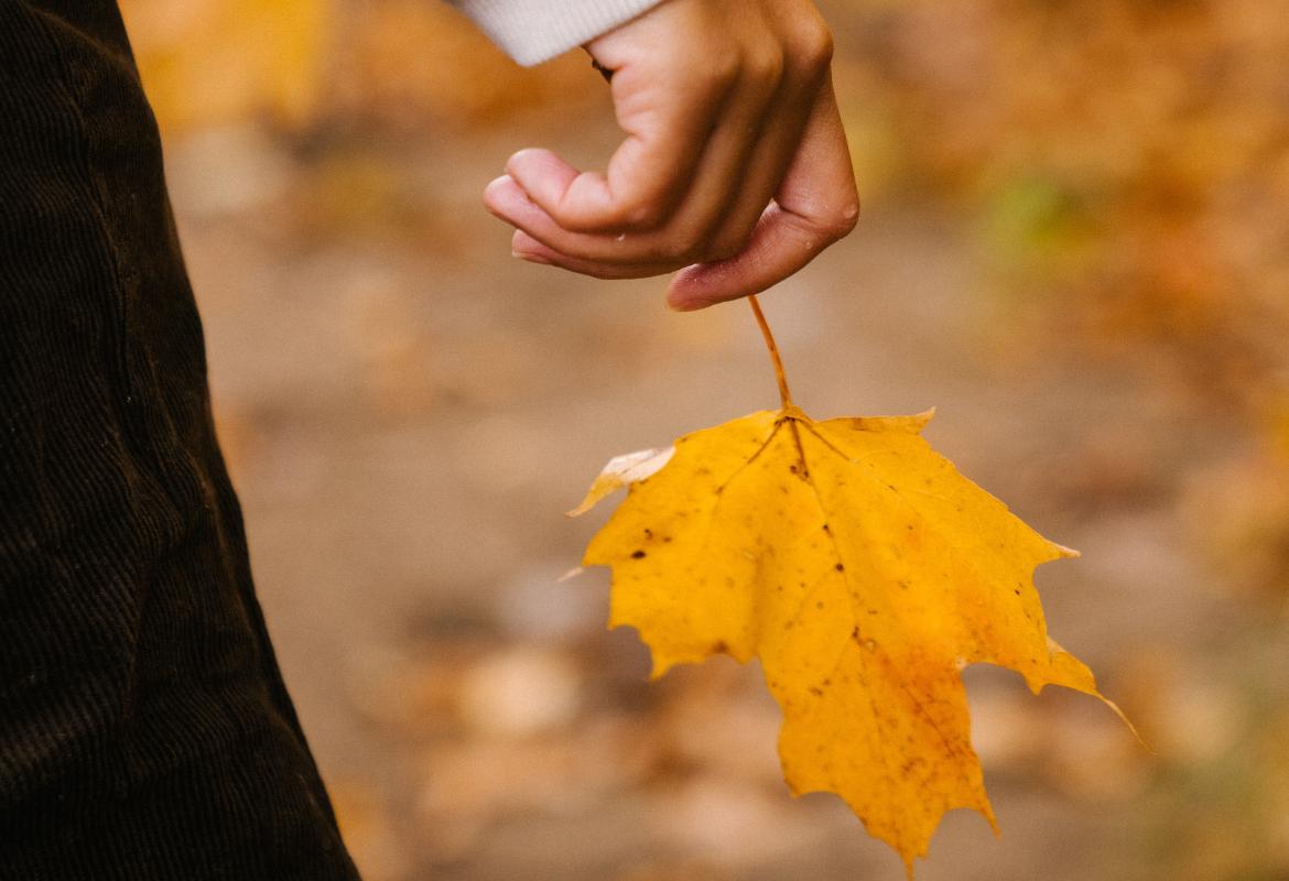 Stefano e Cristian, quando il mondo non è pronto a un addio così precoce