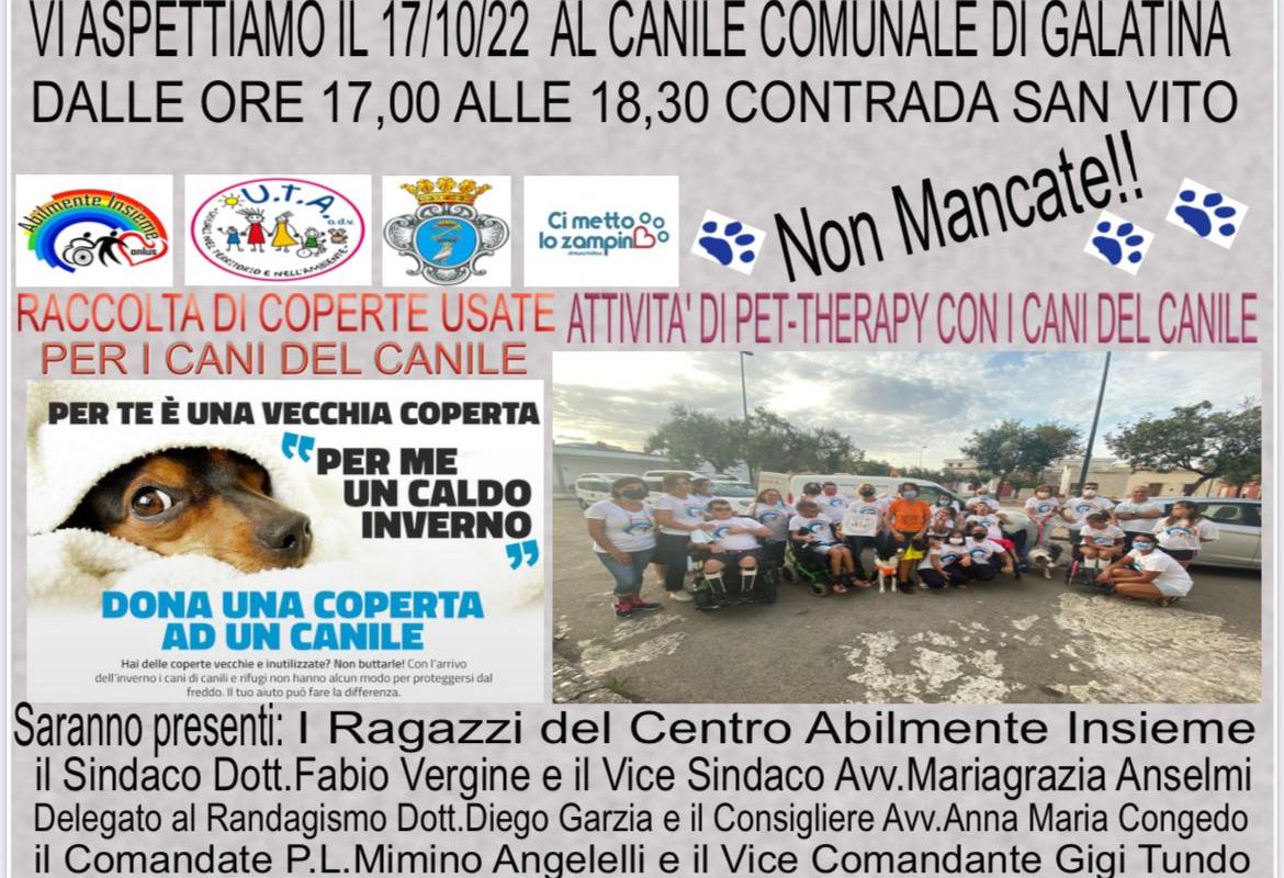 I ragazzi di Abilmente Insieme incontrano gli ospiti del canile municipale di Galatina