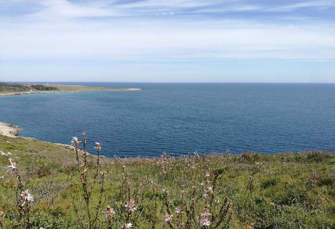 “Ecosistema Culturale - Comunità di Paesaggio” per Otranto Capitale italiana della Cultura 2025