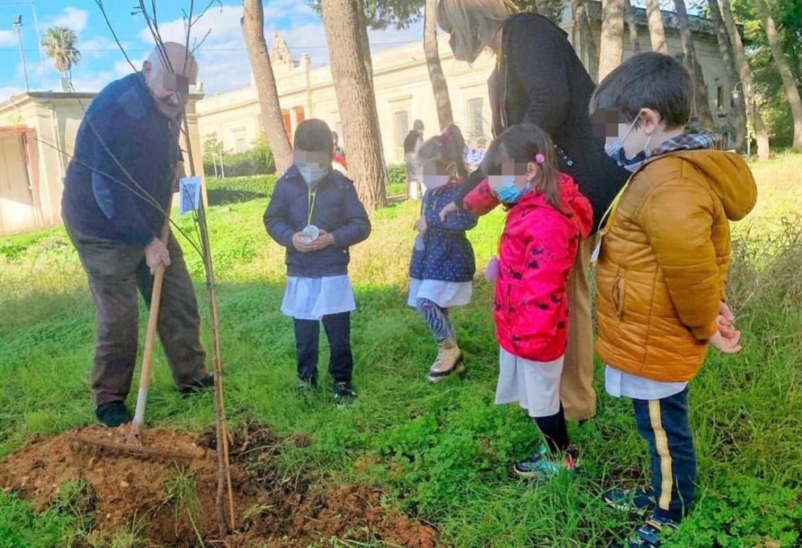 Un albero, segno di speranza 