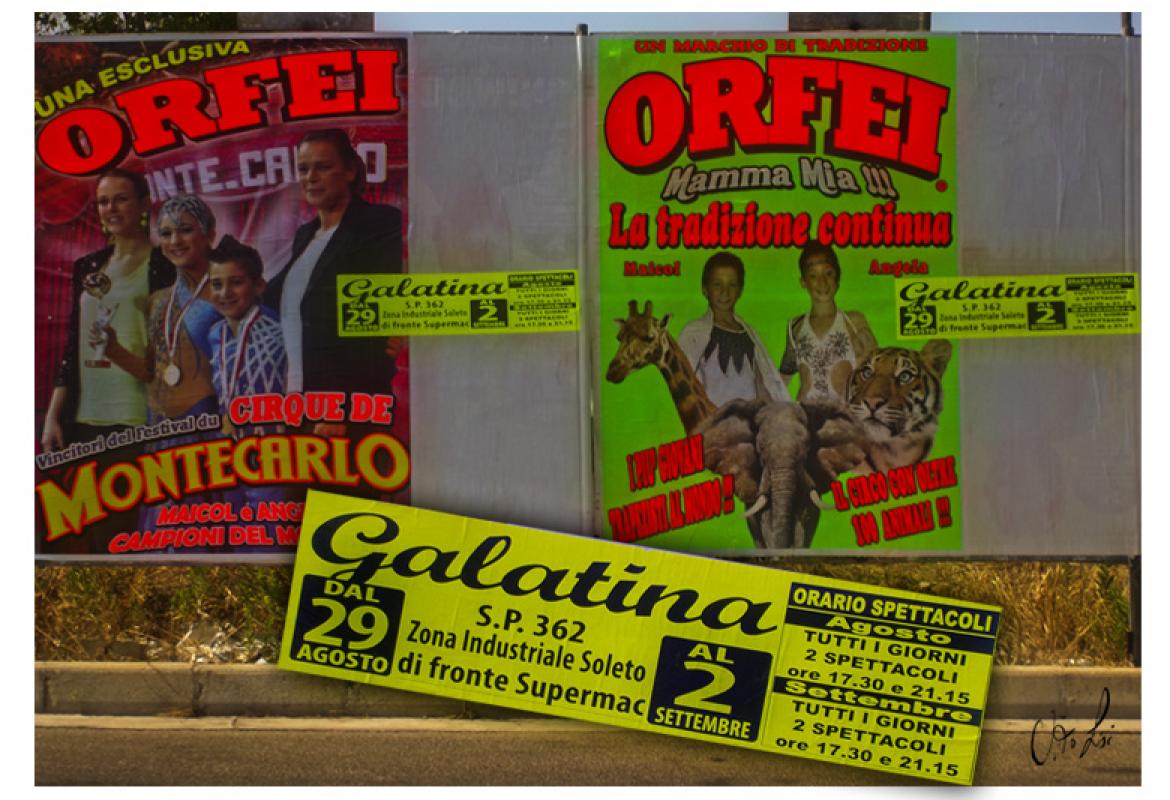 'Circo con animali vietato a Galatina? No problem, lo piazziamo a Soleto... o quasi'