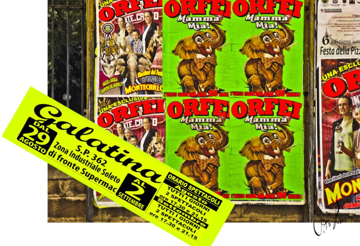 &quot;Si può impedire l'uso del nome 'Galatina' sulla pubblicità del circo che sta a Soleto?&quot;