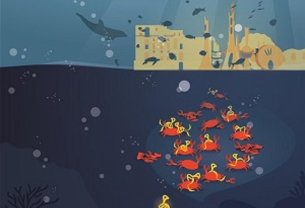 Nuove promettenti strategie terapeutiche per ridurre la crescita dei tumori