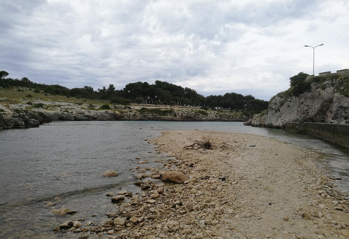 "Coste e mari pugliesi tra biodiversità naturale e ricchezza regionale"