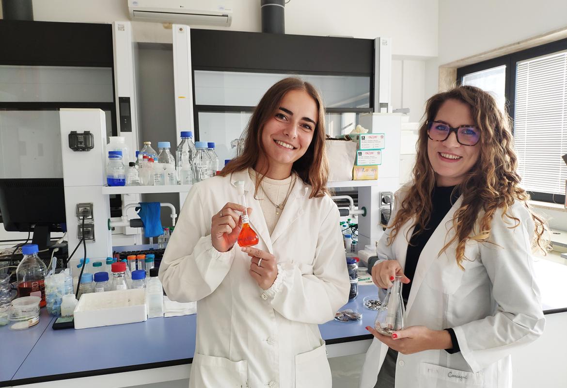 A Lecce due ricerche per valorizzare i gusci di gamberi e quelli dei mitili mediterranei