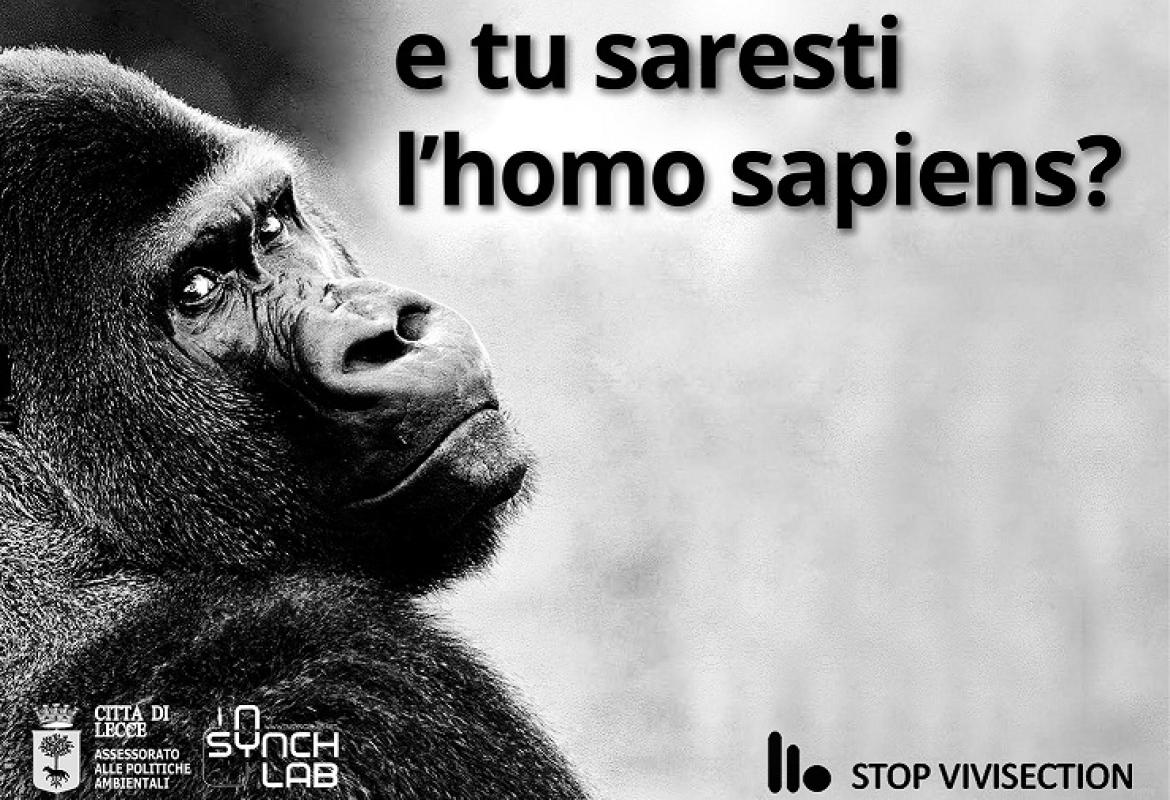 A Lecce la raccolta firme contro la vivisezione