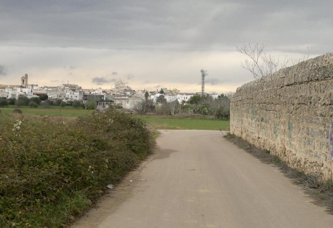 Civiche galatinesi: "Era edificabile, ora è un pascolo. L'Amministrazione Montagna informi i cittadini sul Piano Paesaggistico!"