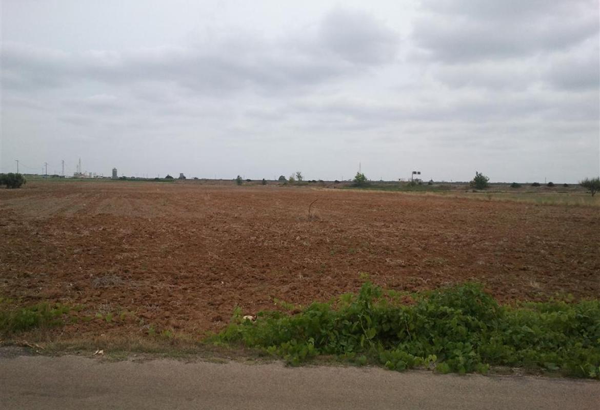 Megaparco, "A Galatina non si sogna più"