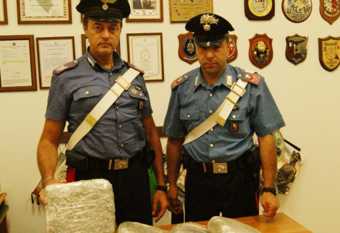 I Carabinieri di Copertino trovano a Santa Barbara sei chilogrammi di marijuana