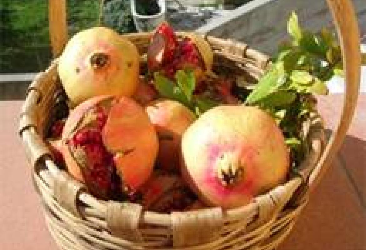  “Lu Paniri te e Site” fino al 13 a Palamariggi