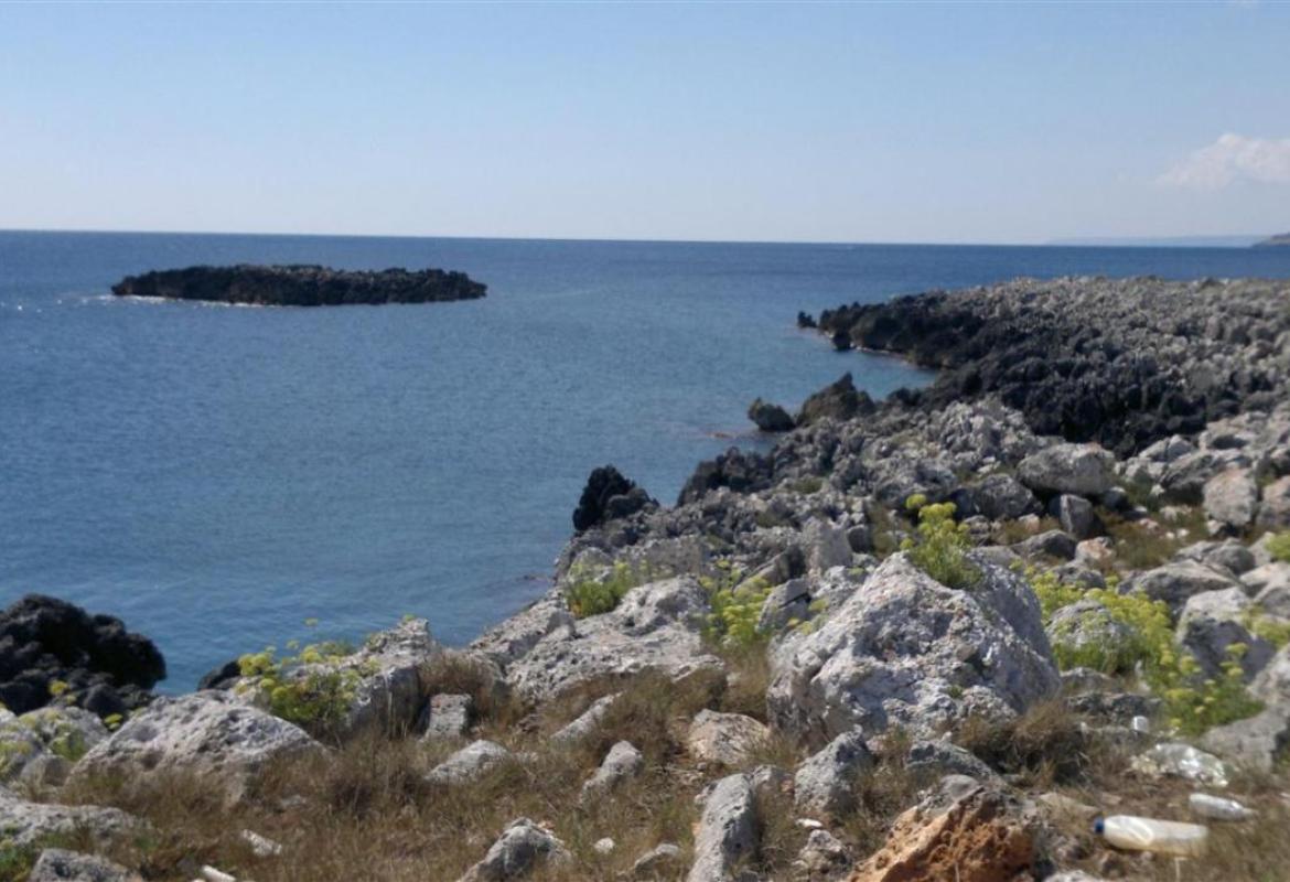 Alla scoperta del 'creato' salentino con Sansò e Medagli