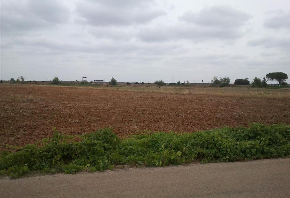 La conferenza dei servizi dà il via libera all'insediamento commerciale in Contrada Cascioni