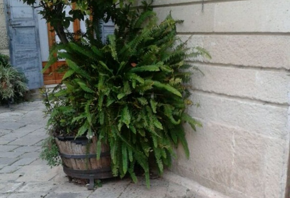 Sparita la panchina di 'Luis', scherzo o inciviltà?