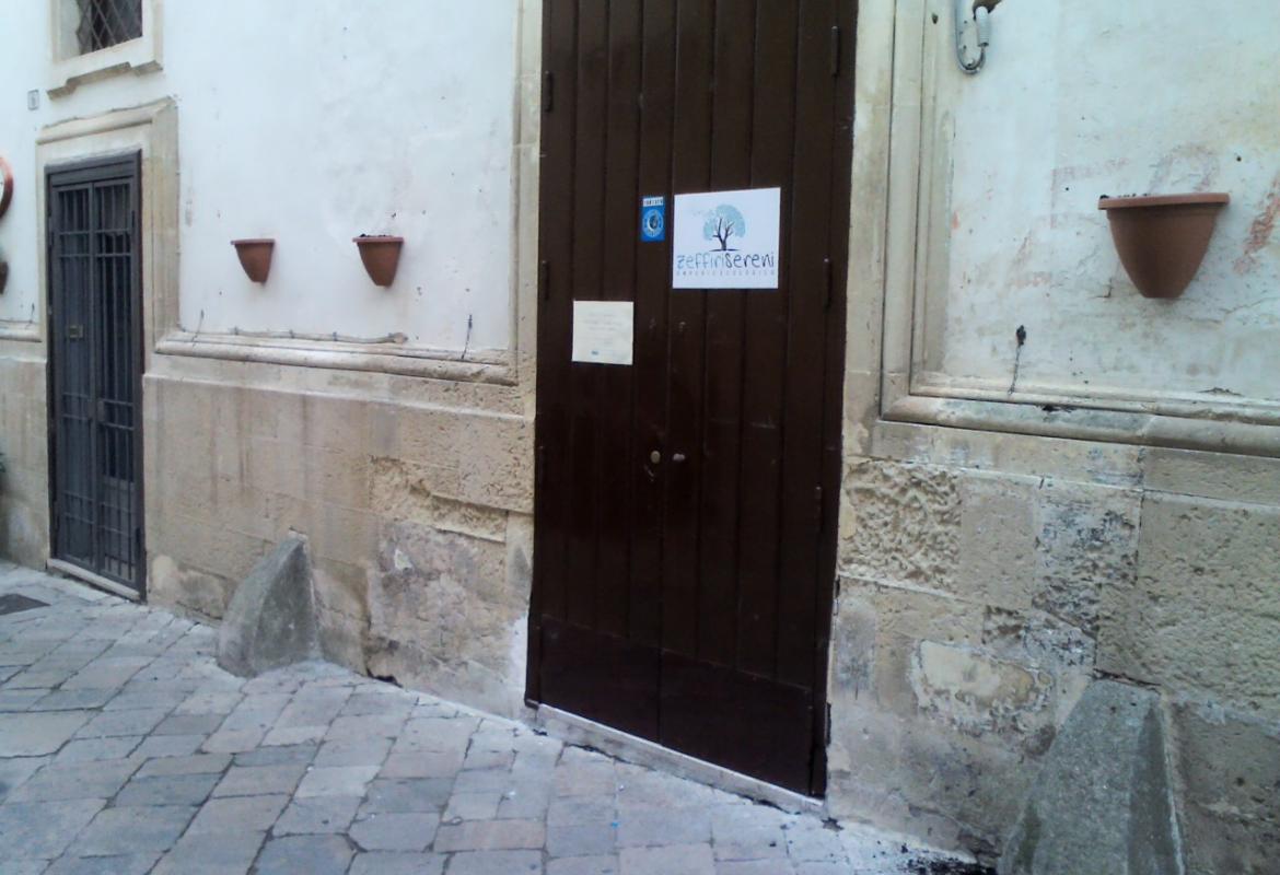 Vandali strappano dal muro le piante in via Robertini