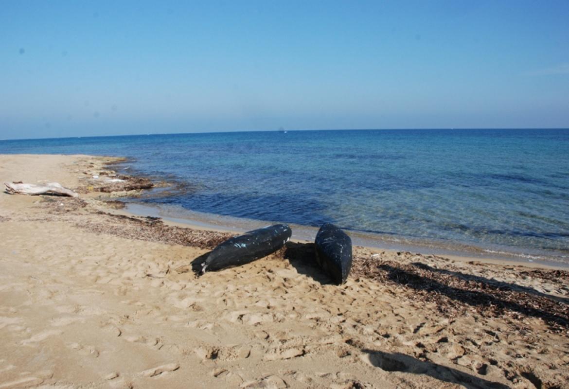 La marijuana viaggia in acquascooter, oltre tre quintali e mezzo recuperati a Torre Veneri