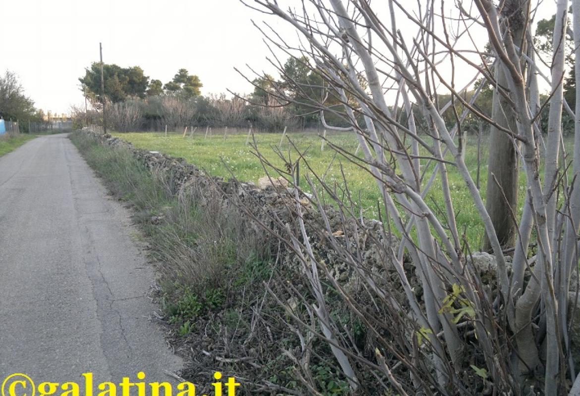 Gli artificieri fanno brillare sul posto due bombe a mano trovate a Galatina