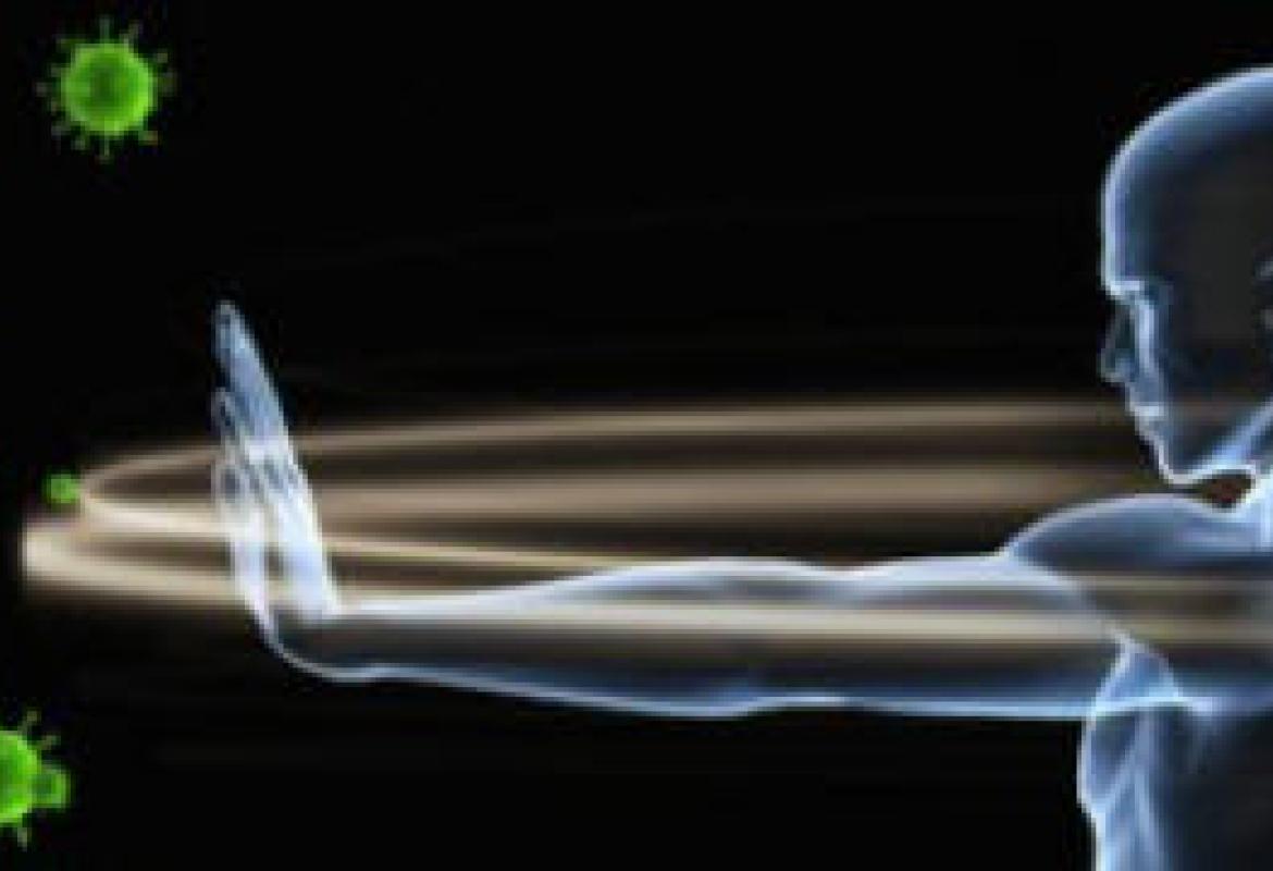 Scoperta l’ereditarietà del sistema immunitario