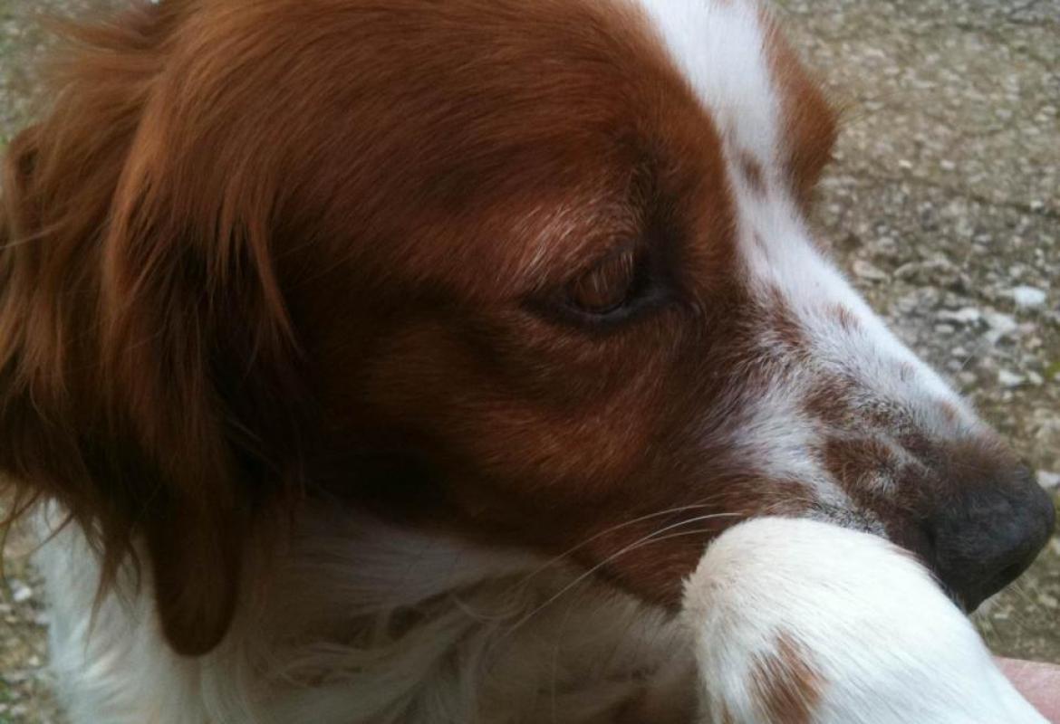 Berta è tornata a casa