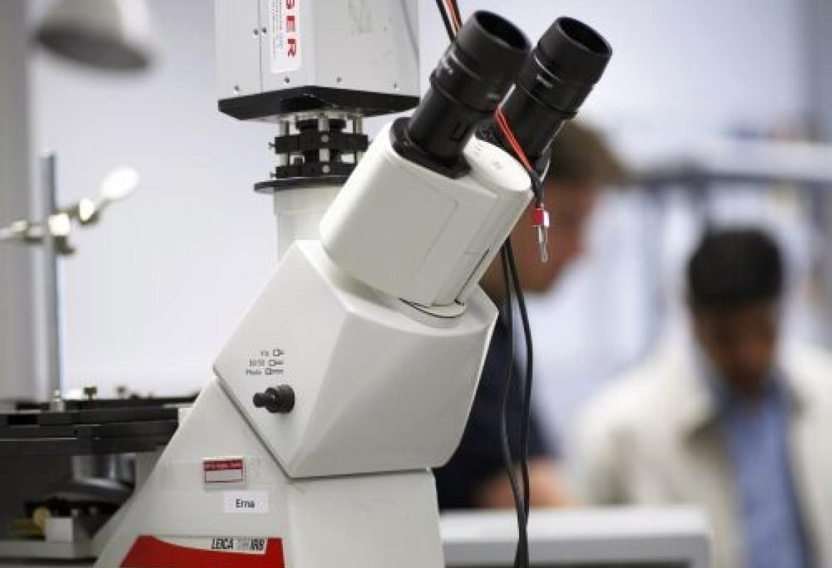 Caratterizzata l’alterazione del metabolismo della sclerosi multipla