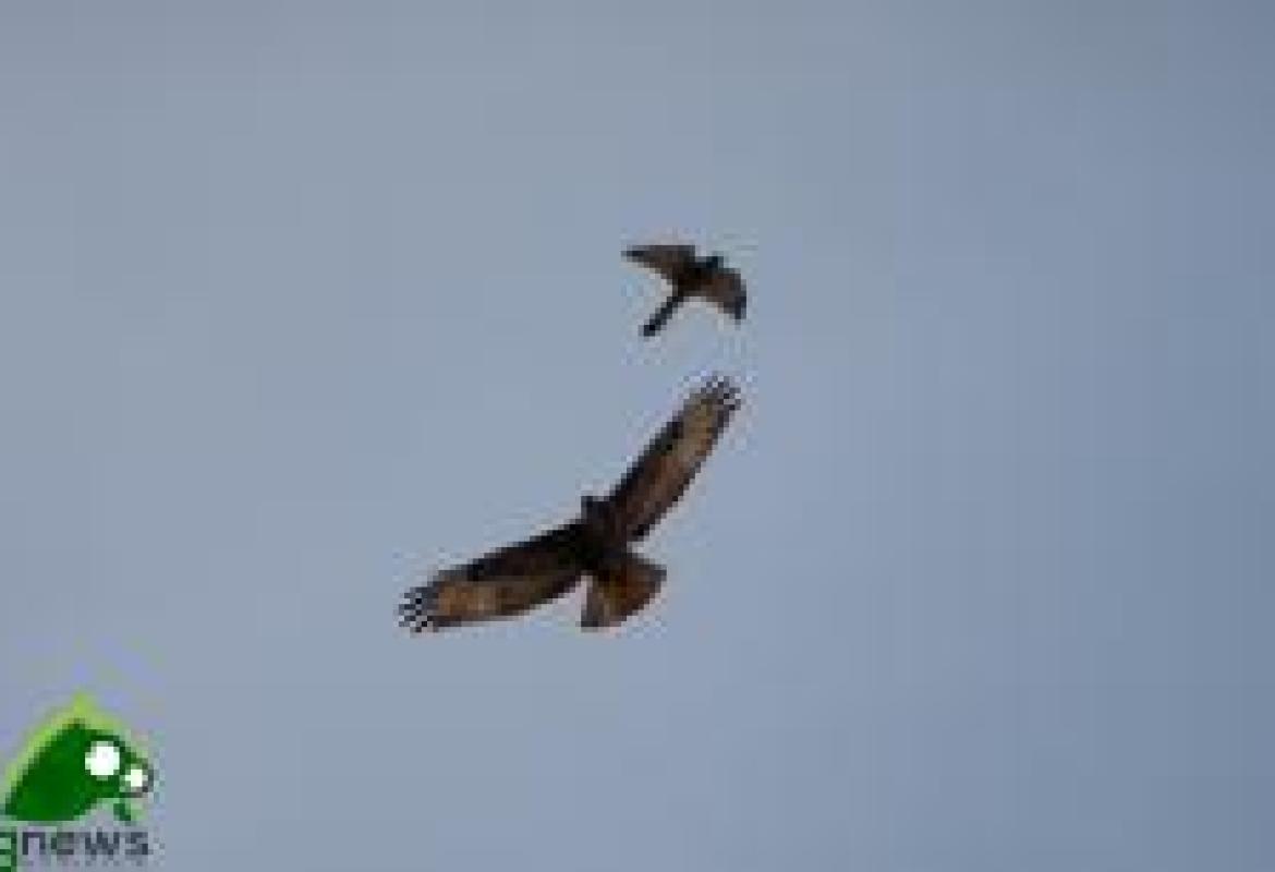 L'osservatorio faunistico si trasferisce nella nuova sede