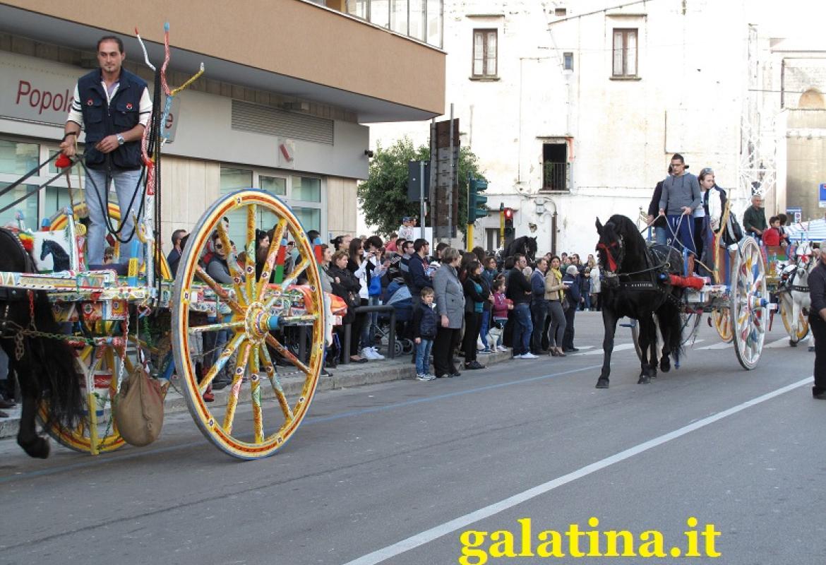 'Non erano maniere forti ma esercizi di dressage'