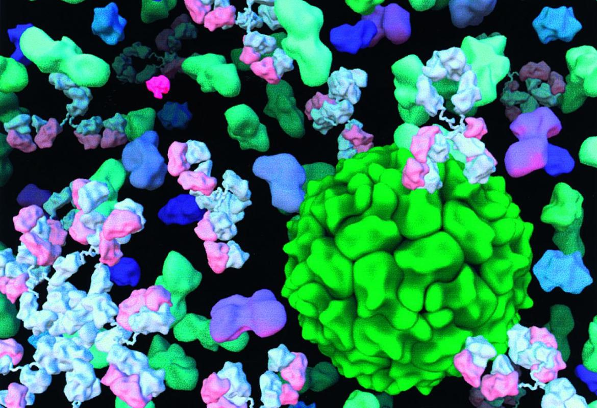 2014 anno internazionale della cristallografia, 