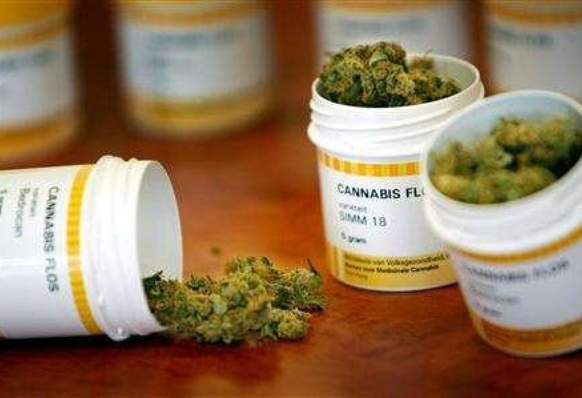 Anche in Puglia sarà possibile usare la cannabis a fini terapeutici