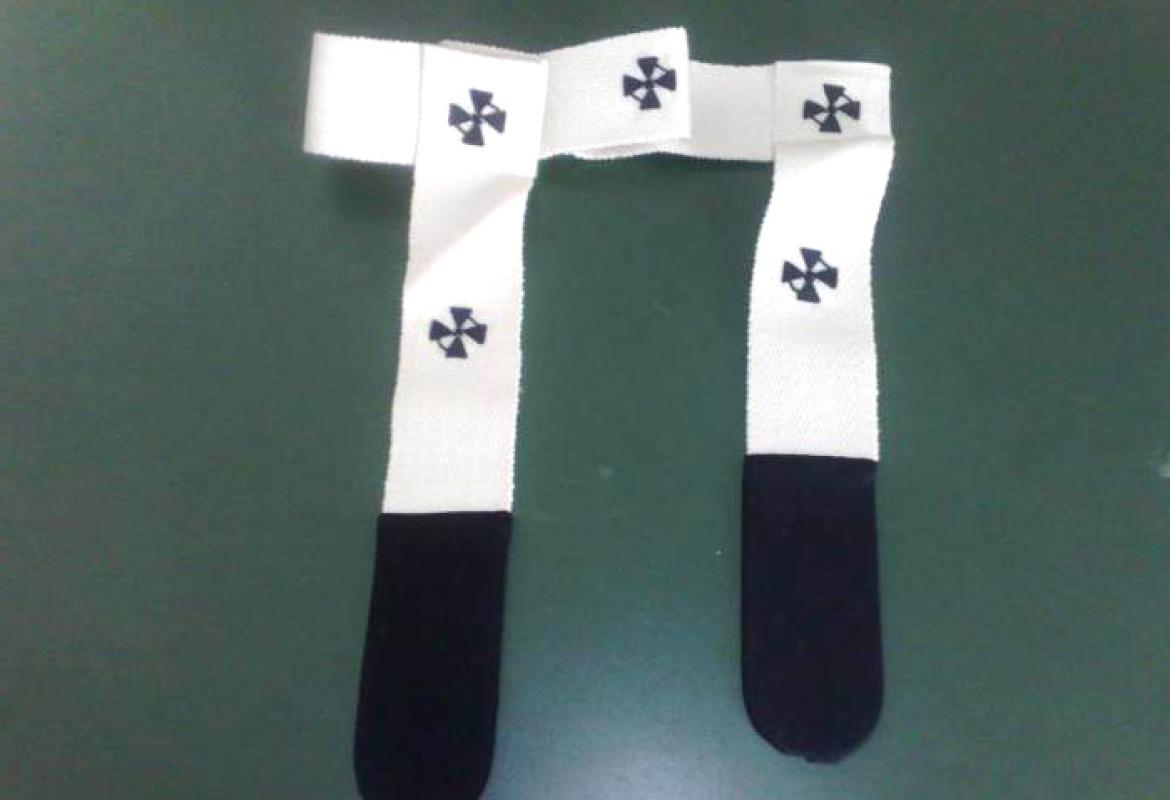 Offerti al Papa gli agnelli di Sant'Agnese