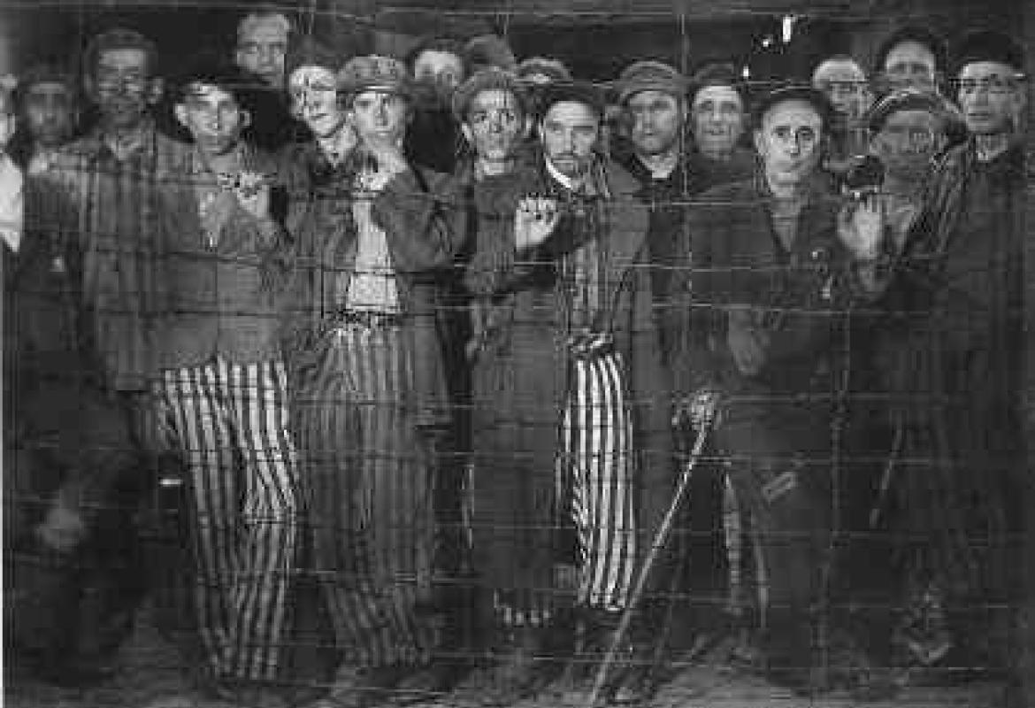 'Il Trauma. Da Freud alla Shoah'