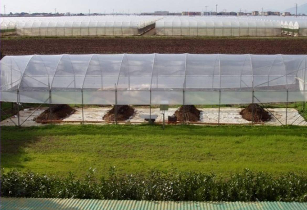 Galatina ospiti un impianto di compostaggio, la Regione è pronta a finanziarlo