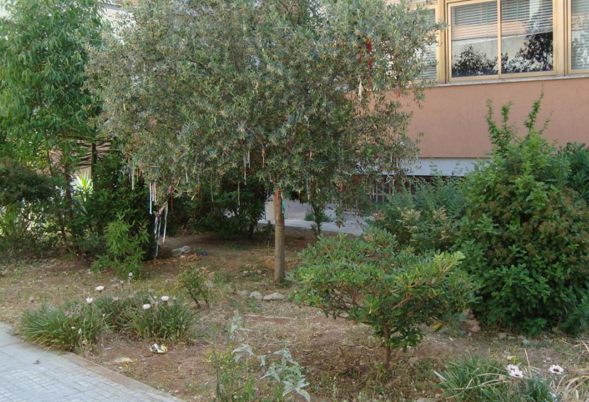 'Immigrazione e diritti dei Minori', un incontro alla Scuola Media di Noha