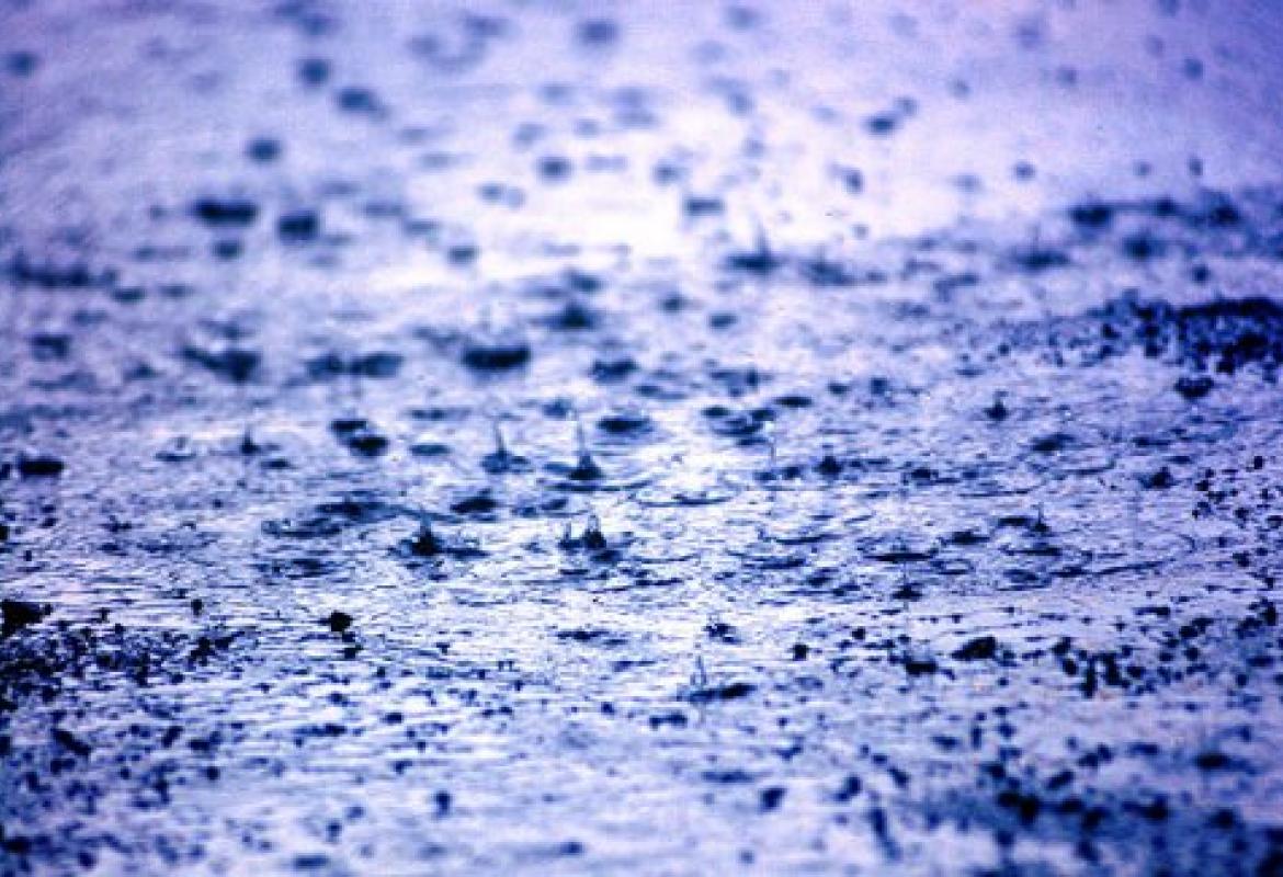 Gennaio è stato 'caldo' e piovoso