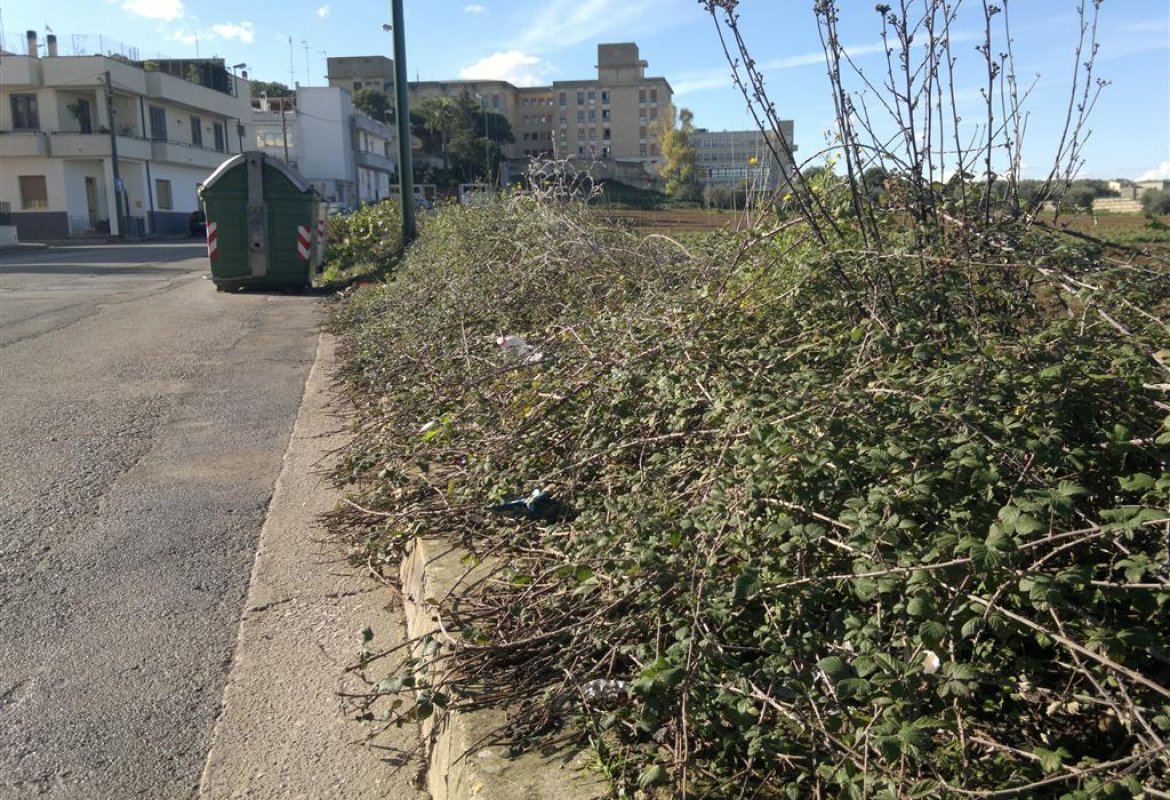 Rovi in via Kennedy e nessuno li toglie