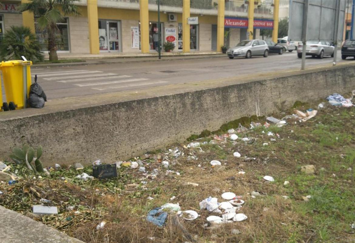 I cassonetti discarica e i rovi di via Caduti di Nassiriya