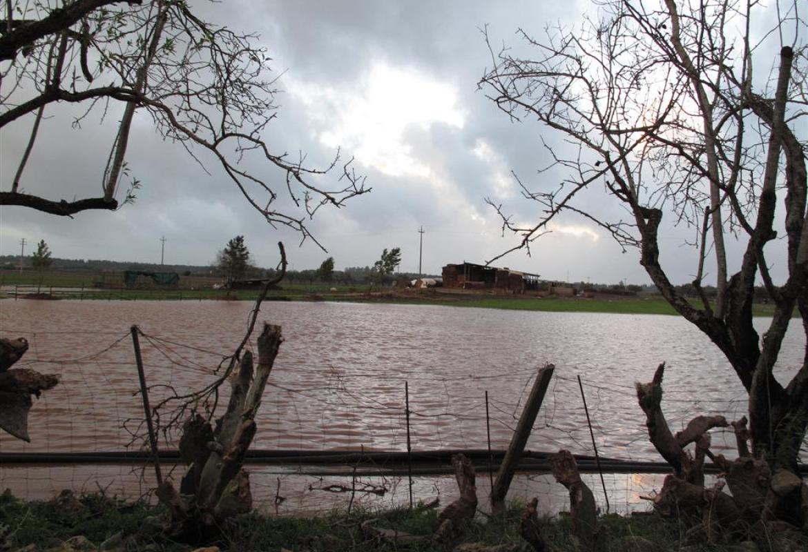 Con febbraio finisce un anomalo inverno