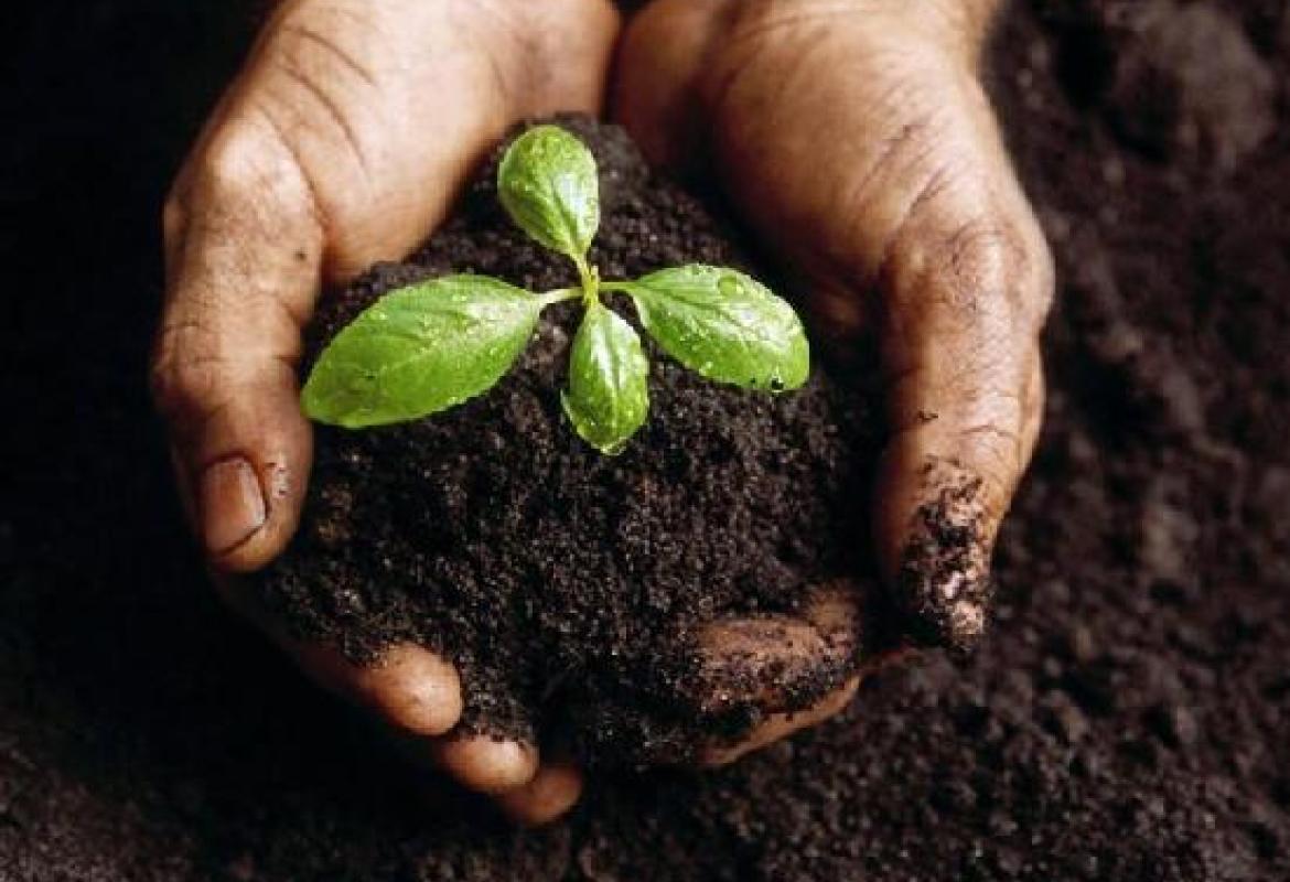 "Impianto di compostaggio. Montagna risponda alle nostre domande"