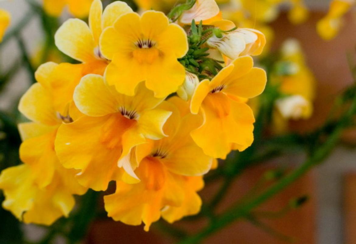 "Donne nella vita dell'Azione Cattolica"