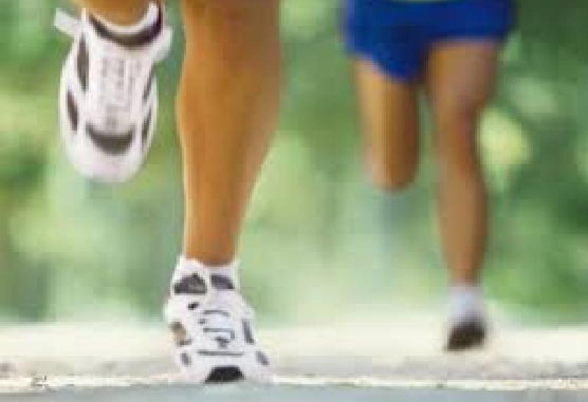 La corsa fa produrre al cervello nuove cellule staminali