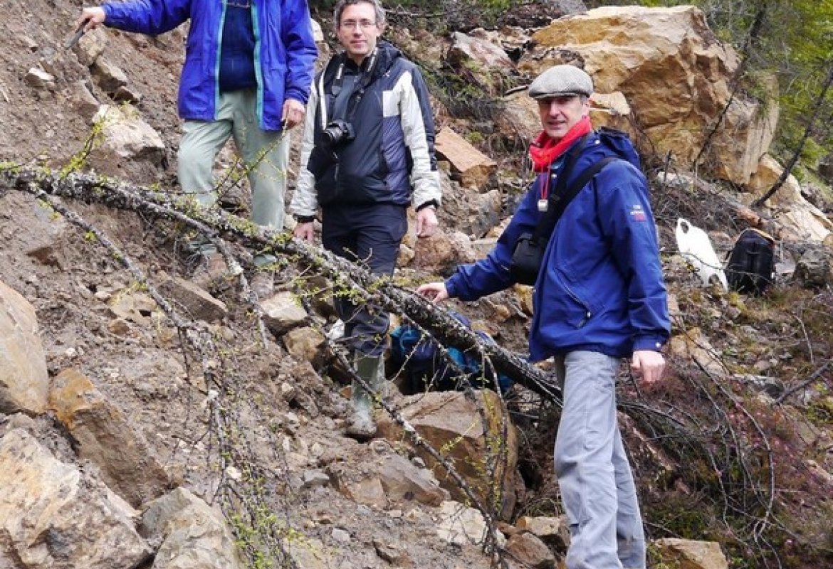 Ecco come mangiano gli acari