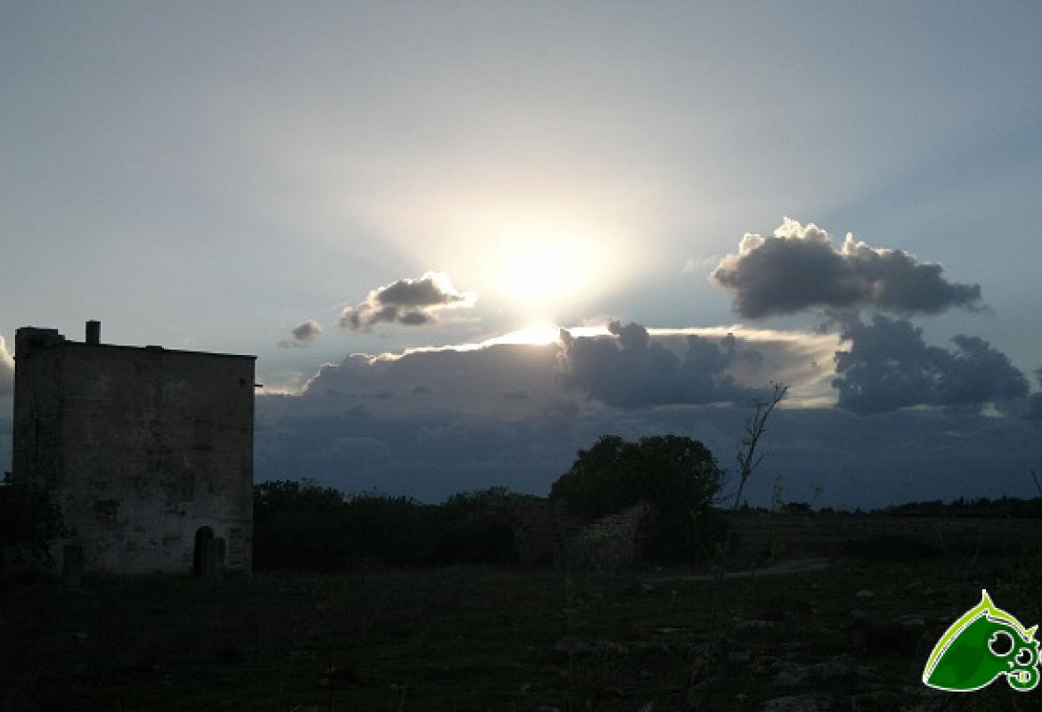 &quot;Educare alla custodia del creato per sanare le ferite della terra&quot;