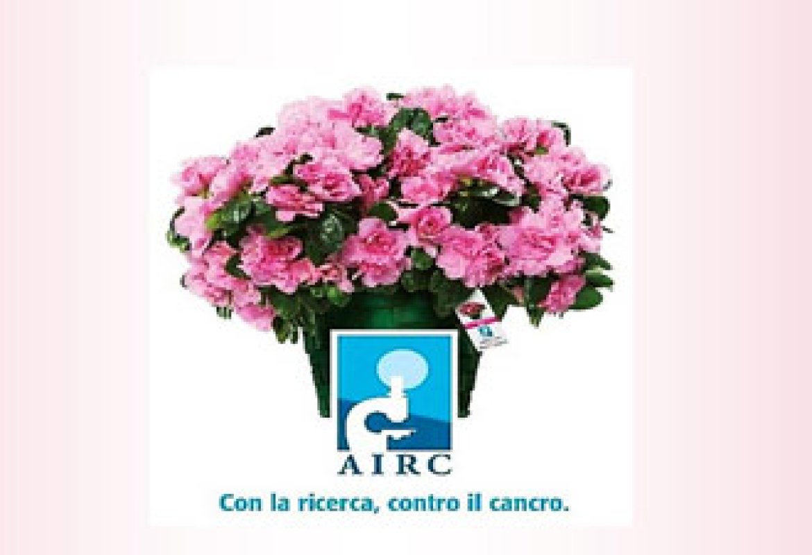 A Galatina le azalee della ricerca