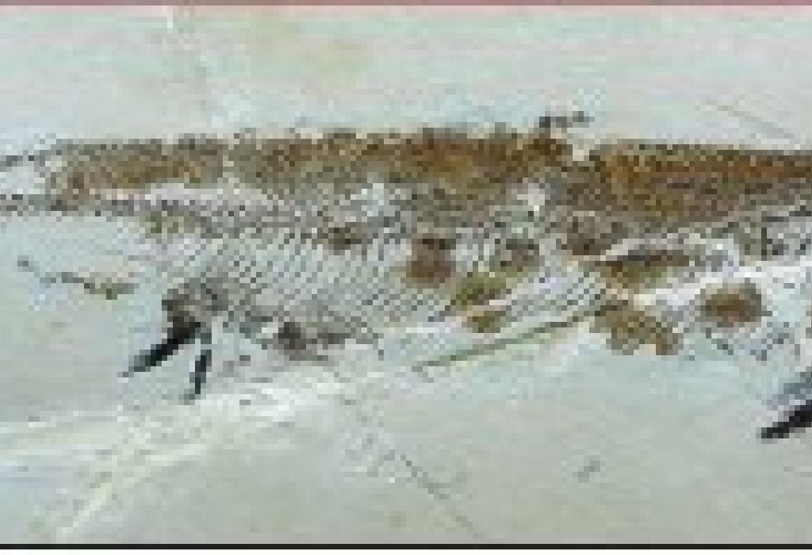 Il mare nella Pietra. I pesci fossili del Cretaceo del Salento