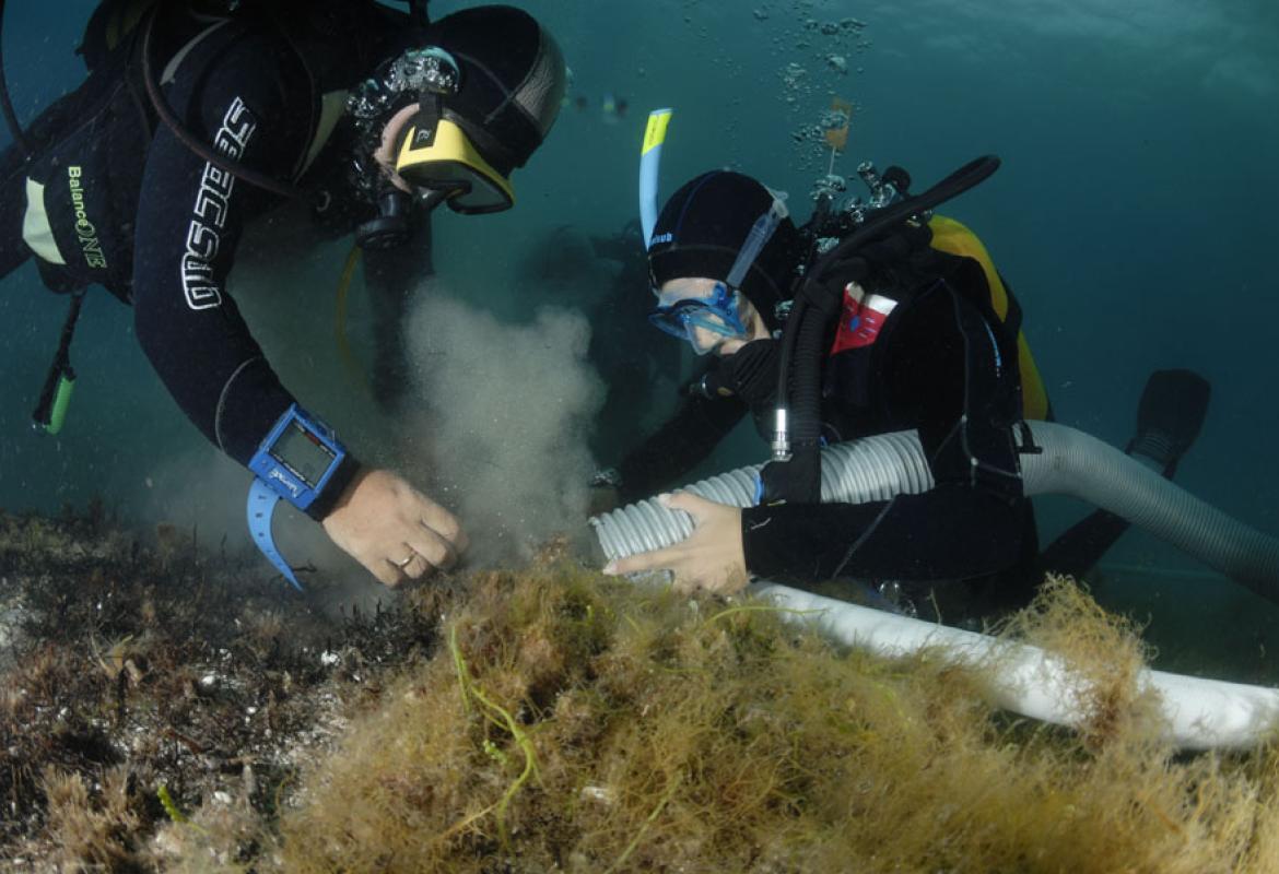 'Un futuro per il passato', l'archeologia subacquea e l'archeobotanica nel Salento