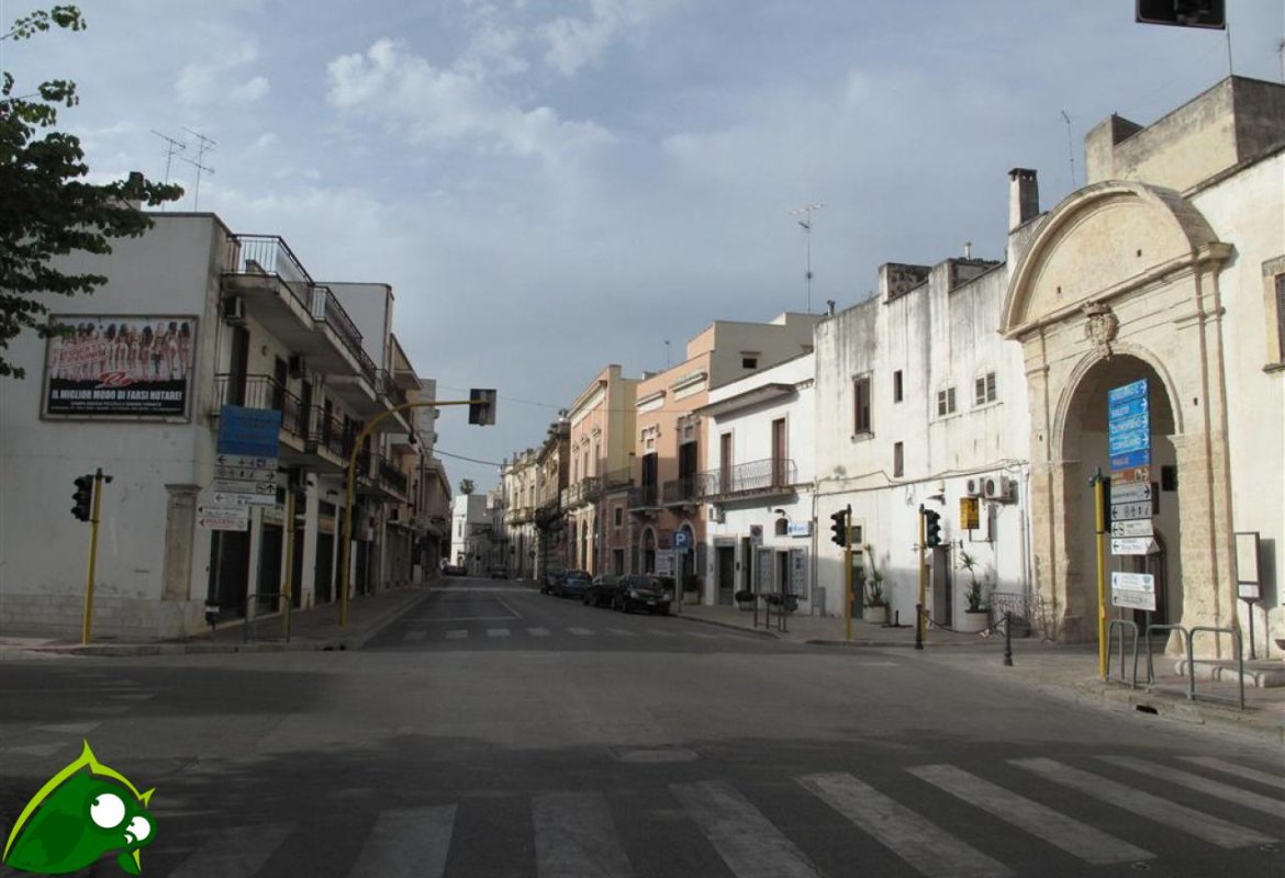 "Corso Porta Luce a senso unico entrante è un'assurdità tecnica"