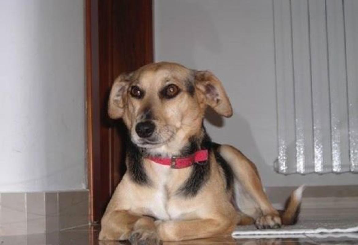 Titti è stata ritrovata!