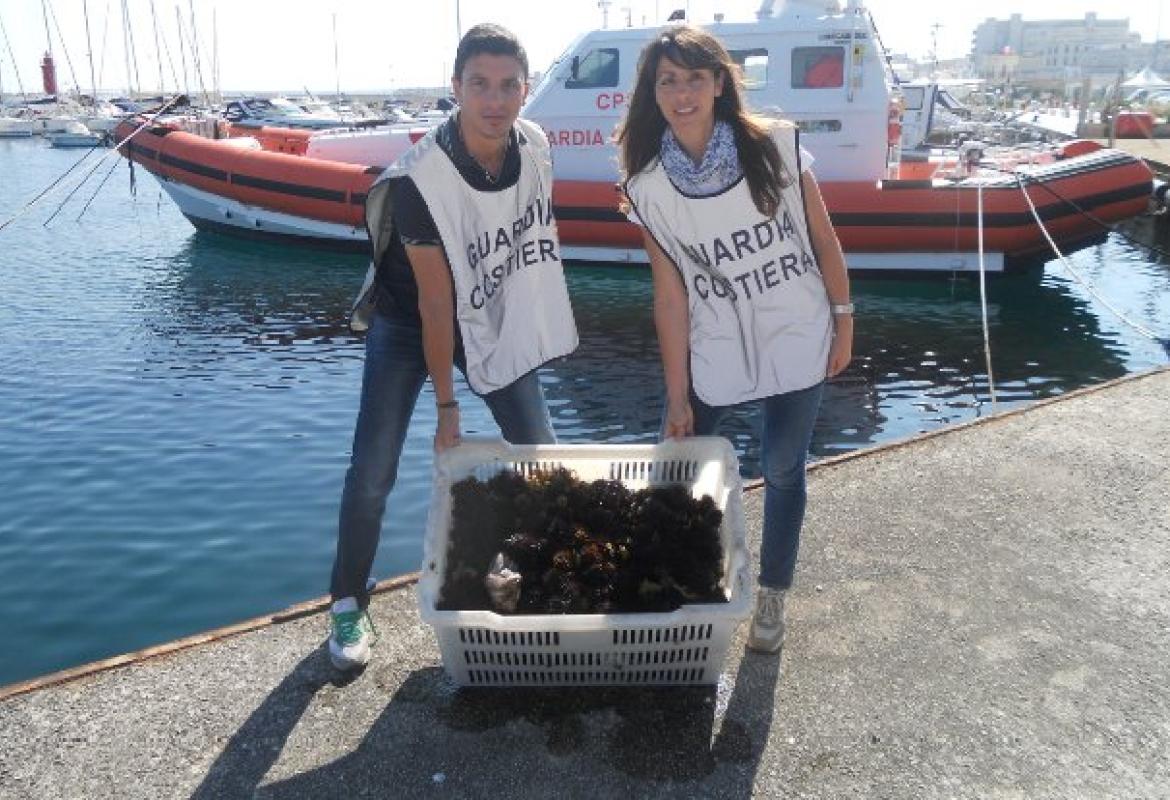 700 ricci costano ad un pescatore 4000 euro di multa